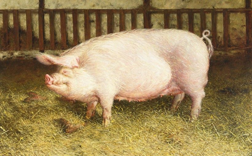 Virtual Gallery Talk With Victoria Wyeth Animals In Art Brandywine   Jamie Wyeth Pig 